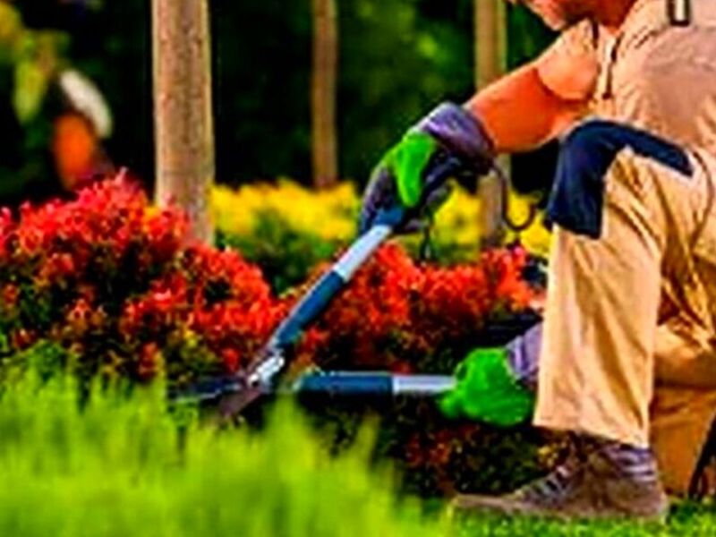 Jardinería Monterrey