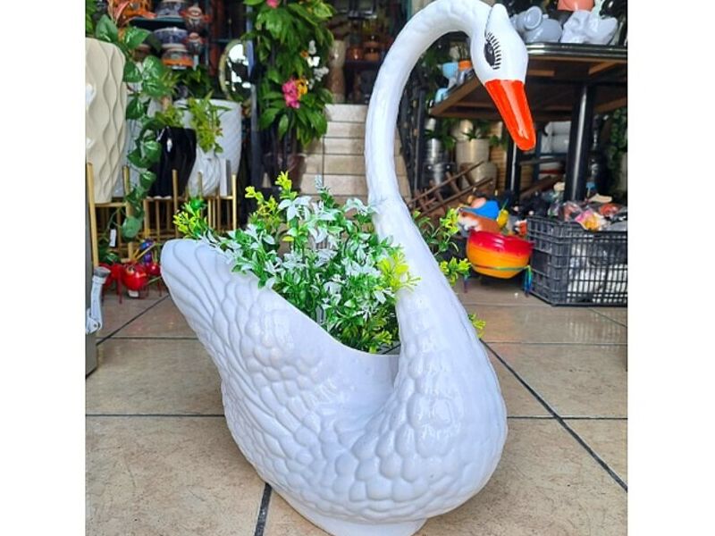 Maceta Cisne blanco México