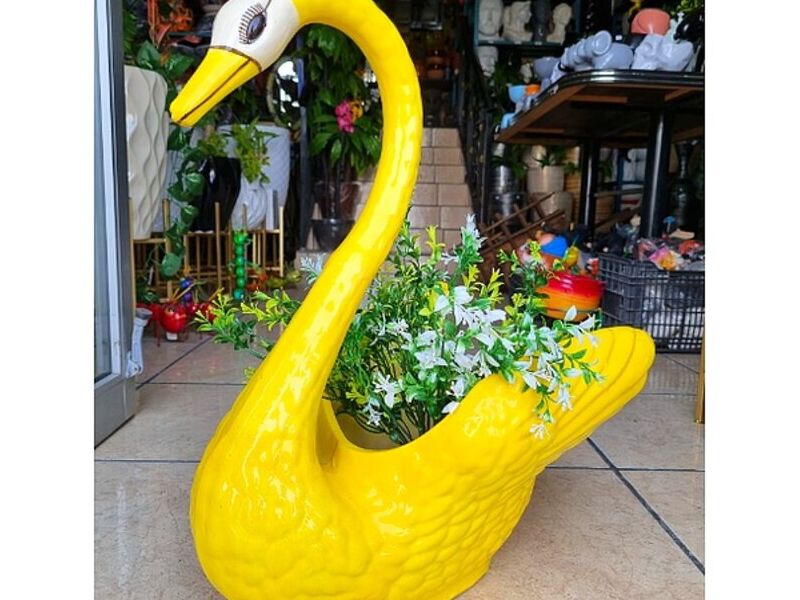 Maceta Cisne amarillo México