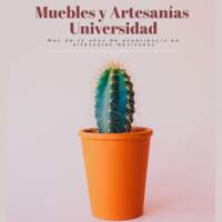 Muebles y Artesanías Universidad