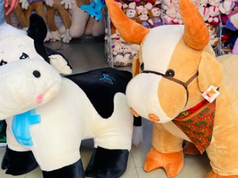 Vaca Mary y Toro Bully en CDMX