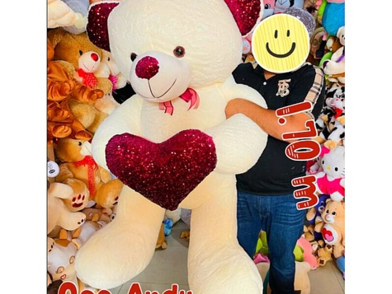 Oso Andy en CDMX