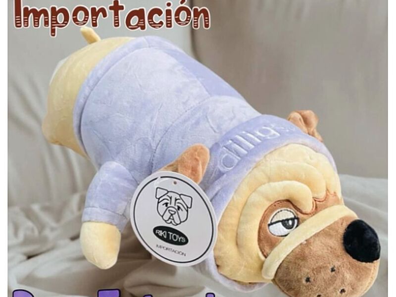 Pug echado en CDMX