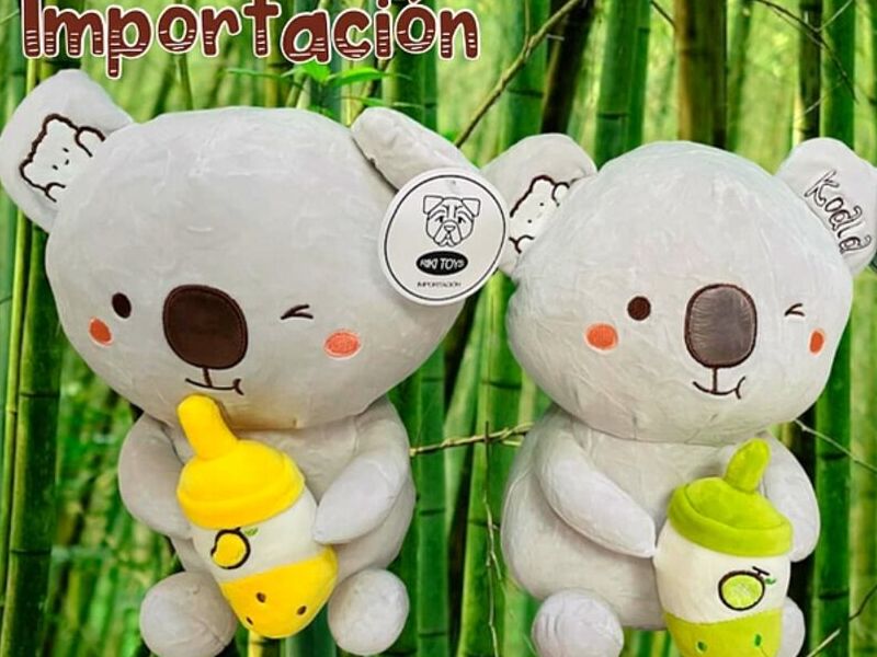 Koala Jugo en CDMX
