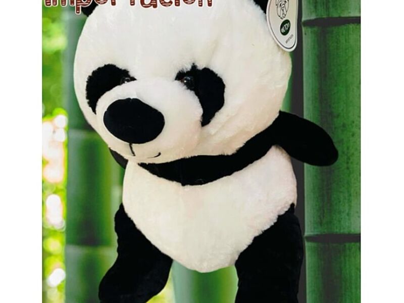 Panda rabit en CDMX