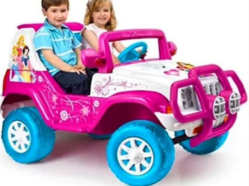 MONTABLE ROSA DE PRINCESAS EN CDMX