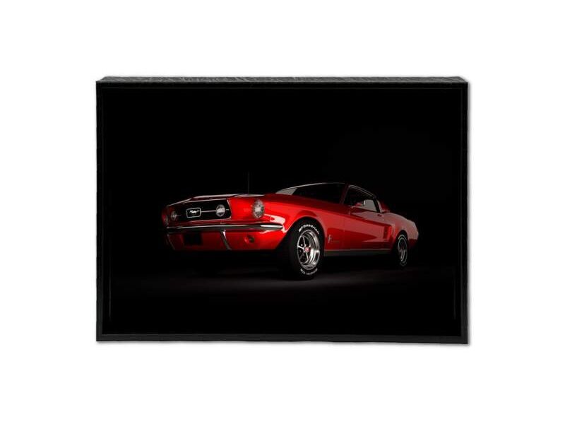 Cuadro Decorativo Auto Zapopan