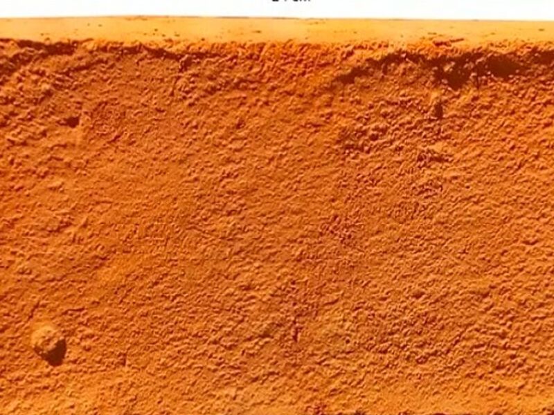 Barro Rojo Texintla
