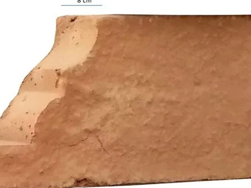 Barro Cola Texintla