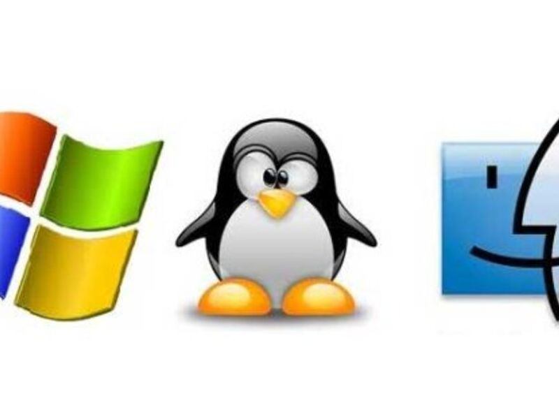 Software Empresarial AV México