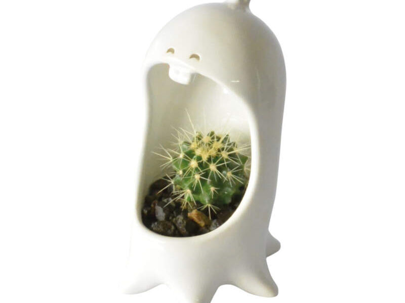 Mini Comelón Pulpo México