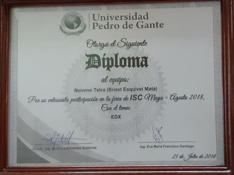 Moldura Caoba León