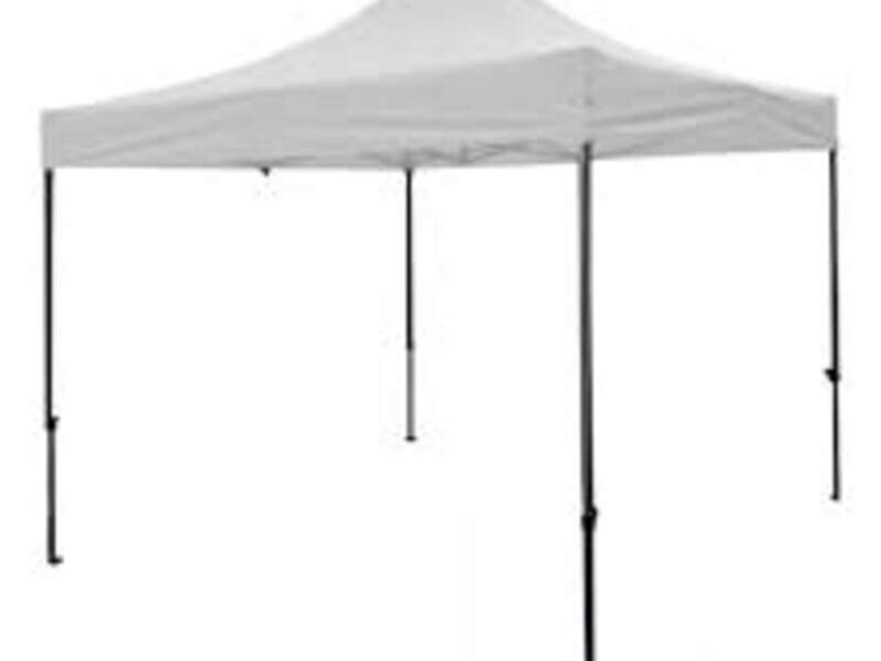 Carpa Toldo 2x3 Mts Chile 