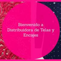 Telas Encajes