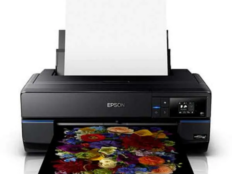 Impresora Epson SureColor P800 México