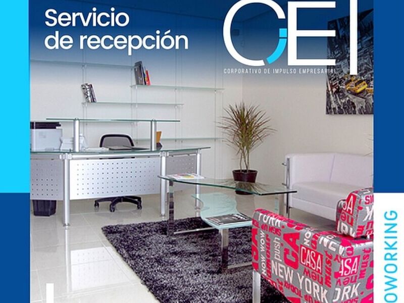 Proyecto 001 Mexico