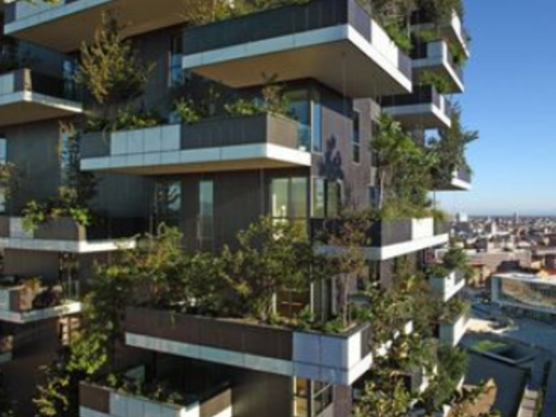 Transformación Edificaciones México