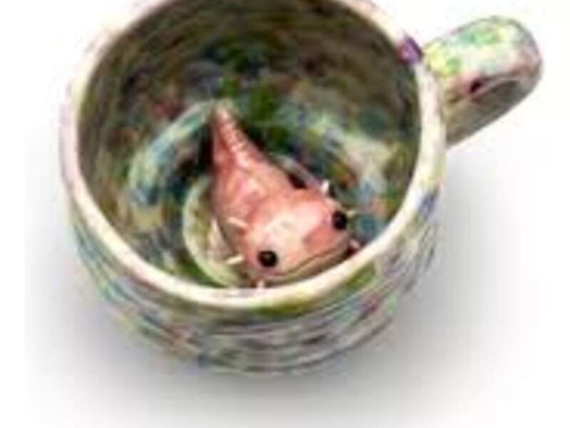 Taza De Ajolote Clara México