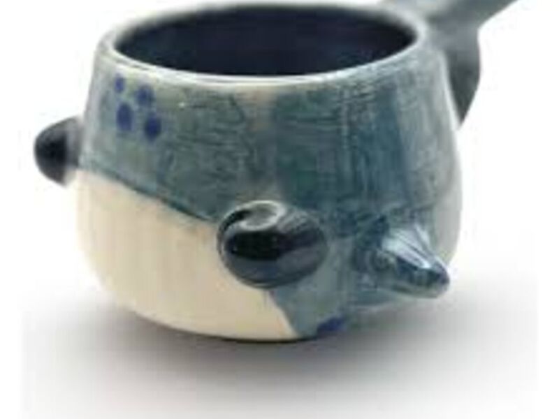 Taza De Ballena México