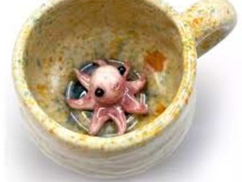 Taza De Pulpo Sorpresa  México