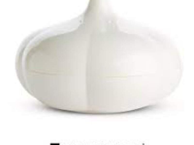 Tupperware Ajos México