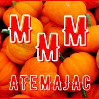Muebles Atemajac
