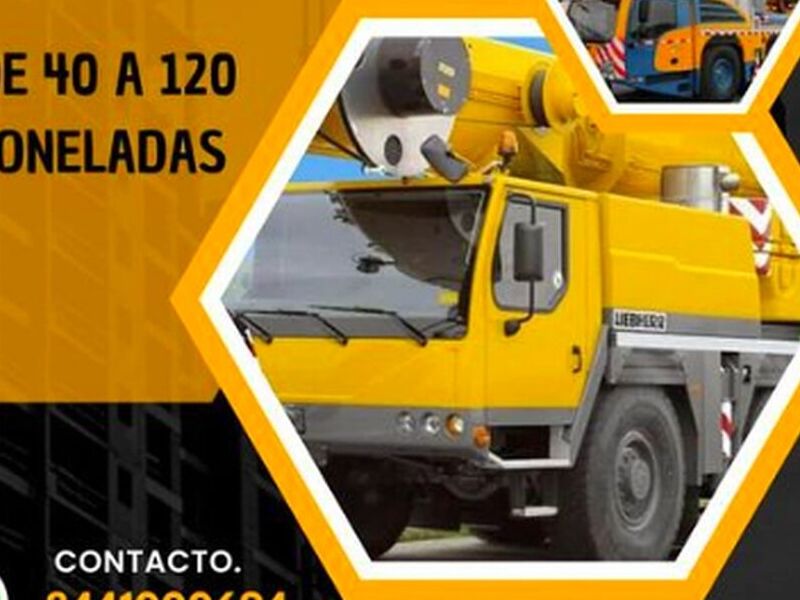 Grúas industriales - Nayarit