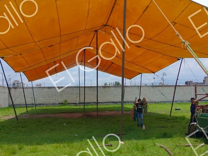 Carpa México