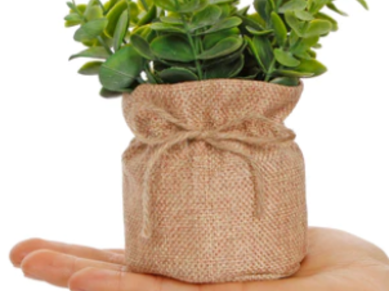 Planta Base De Yute Puebla