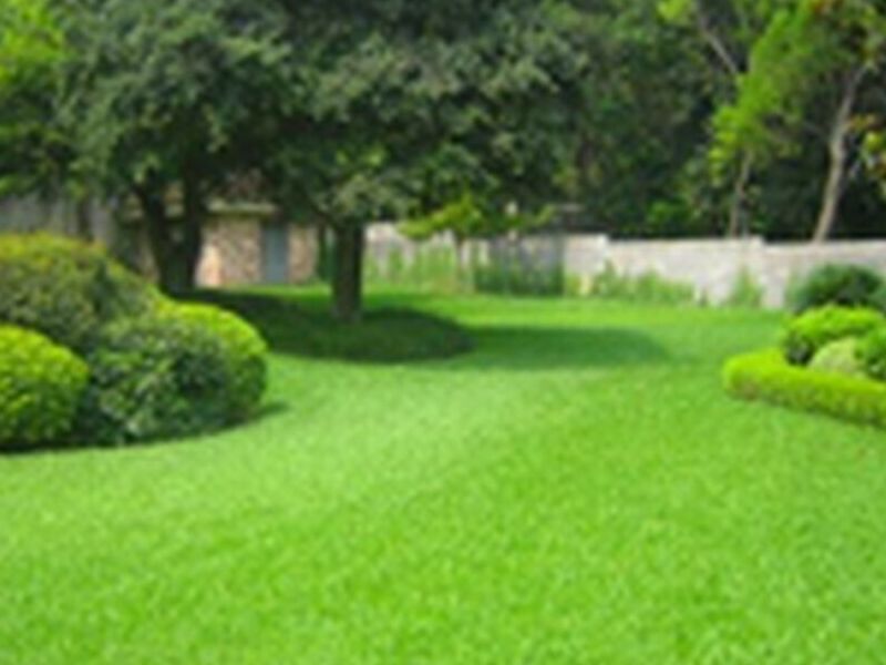 Diseño construcción paisaje México
