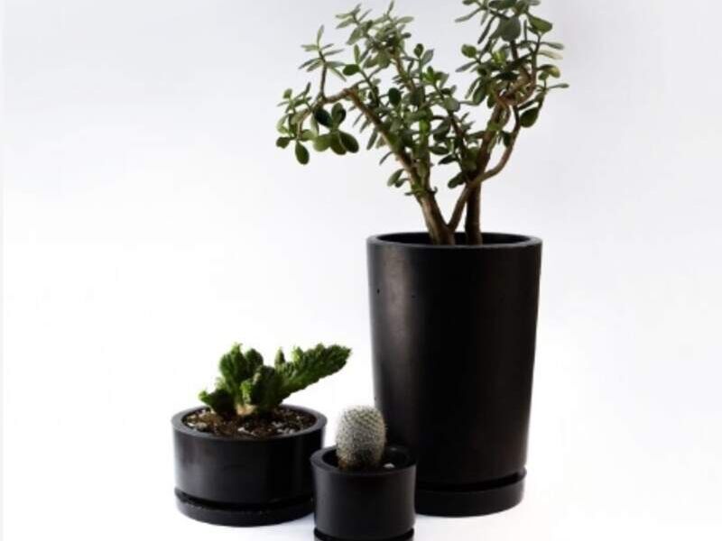 MACETA PLANTÓN MÉXICO 