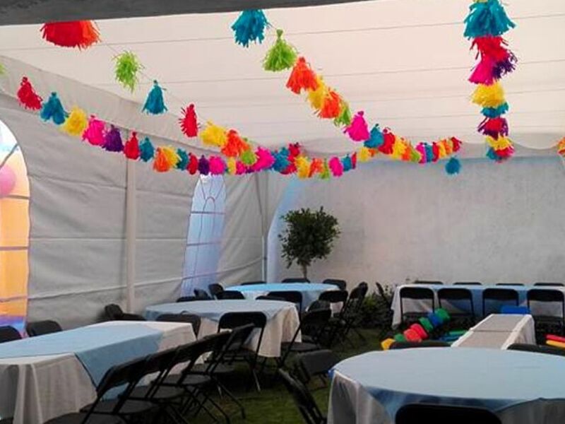 Carpa Decorativa México