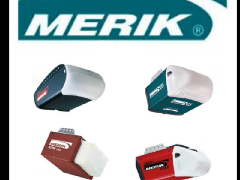 Motor eléctrico Merik