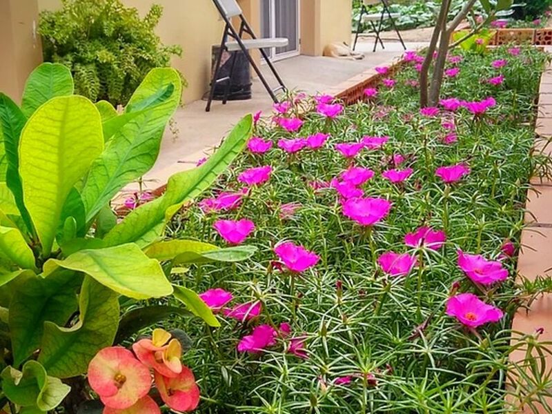 Mantenimiento Jardinería México