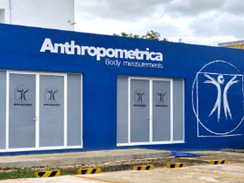 Impresión Aplicación vinil interiores México