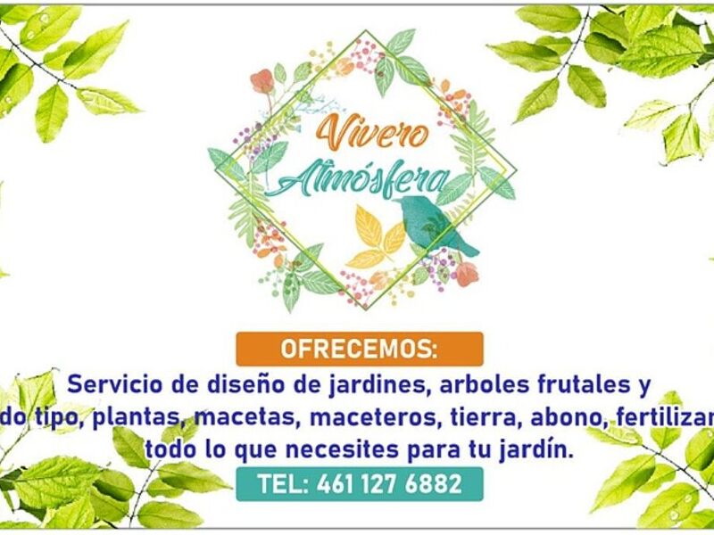 Impresión tarjetas México