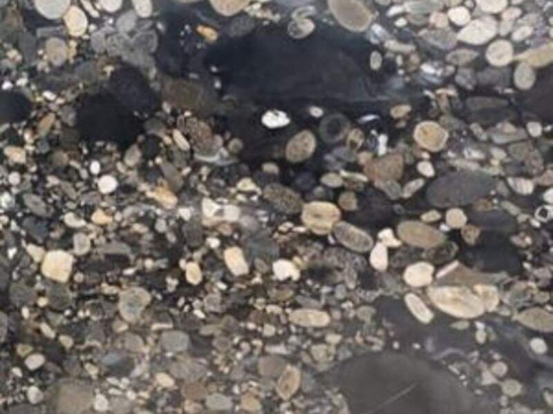 Mármol Black Marinase Alicante Monterrey