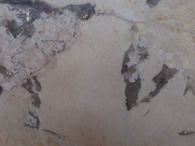 GRANITO ALPINUS México