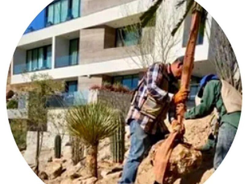 Diseño Jardines Hermosillo