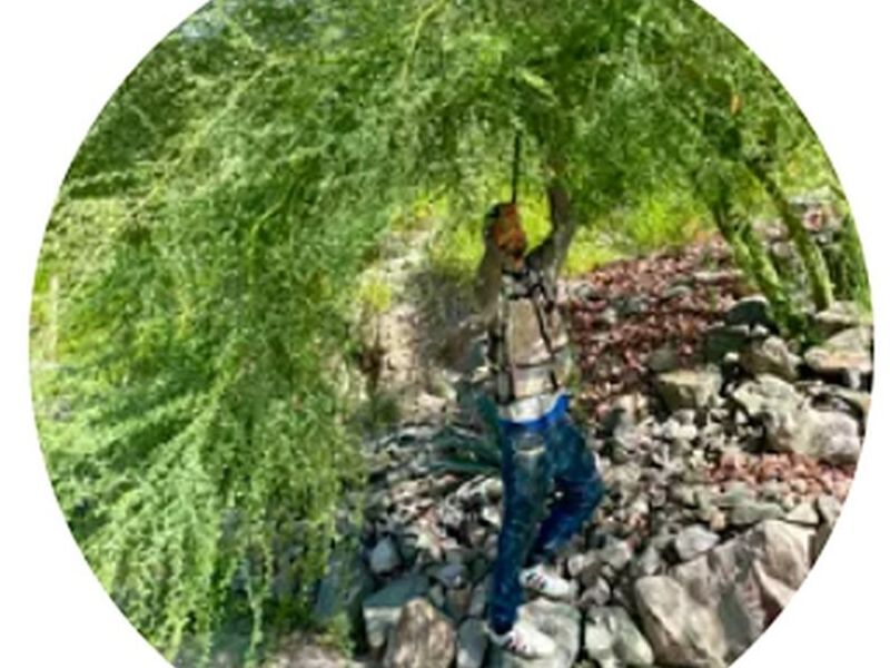 Mantenimiento Áreas Verdes Tijuana
