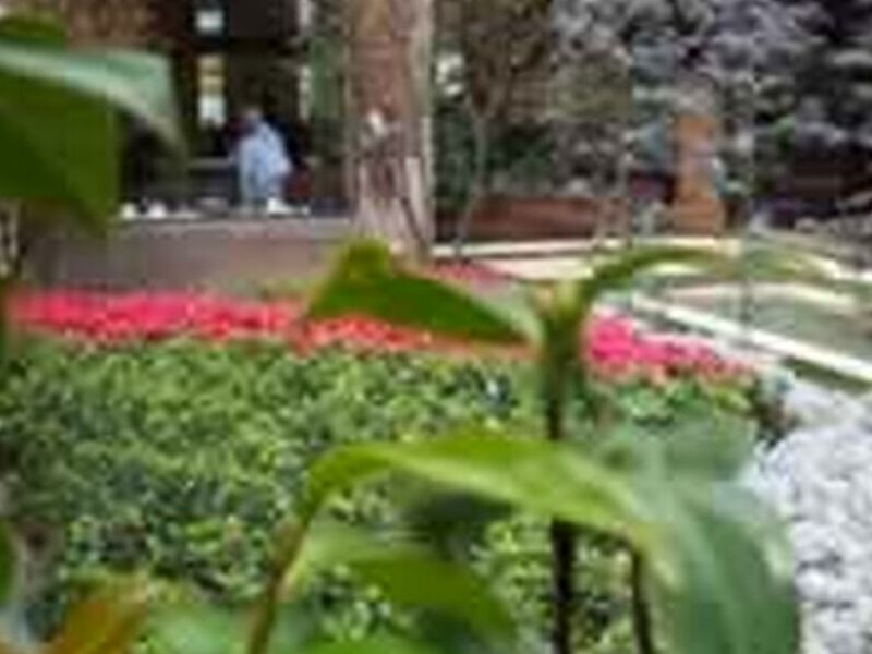 jardines terrazas medina 7