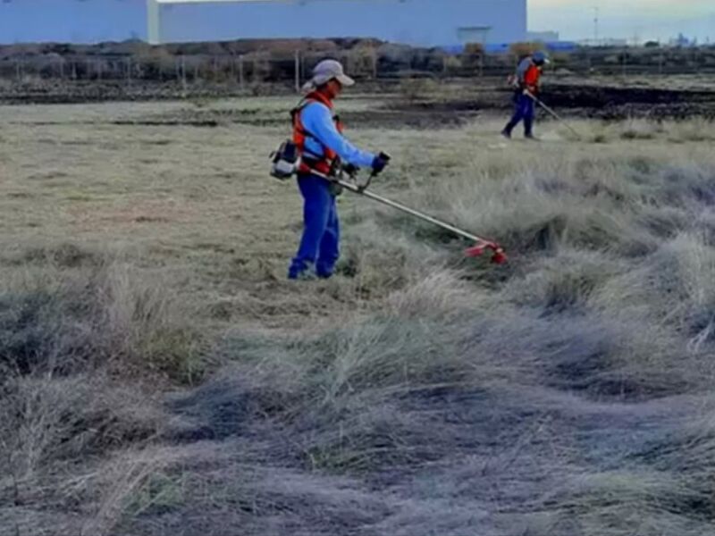 Mantenimiento Áreas Verdes Orizaba