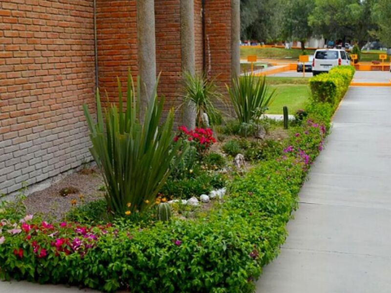 Diseño Jardines Morelia