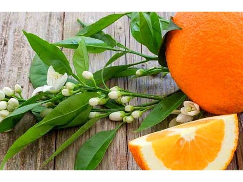 Fragancia neroli México