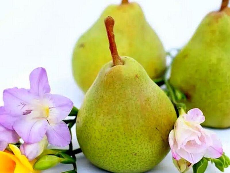 Aroma Pear México