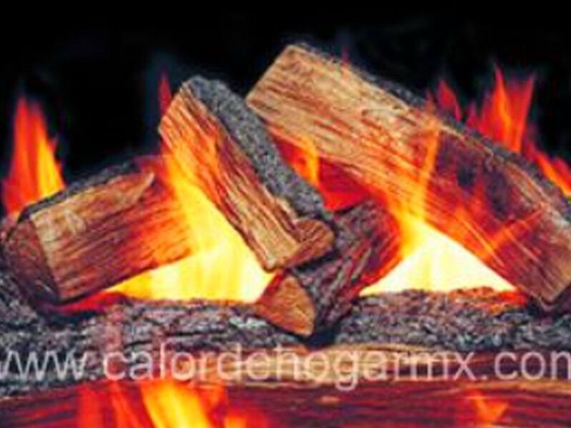 Chimenea leña méxico