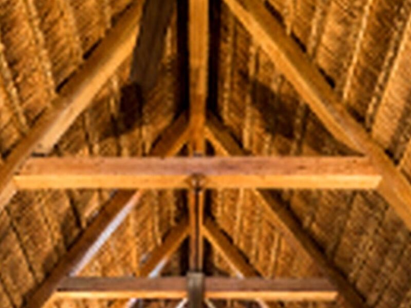 Diseño Techos palma México