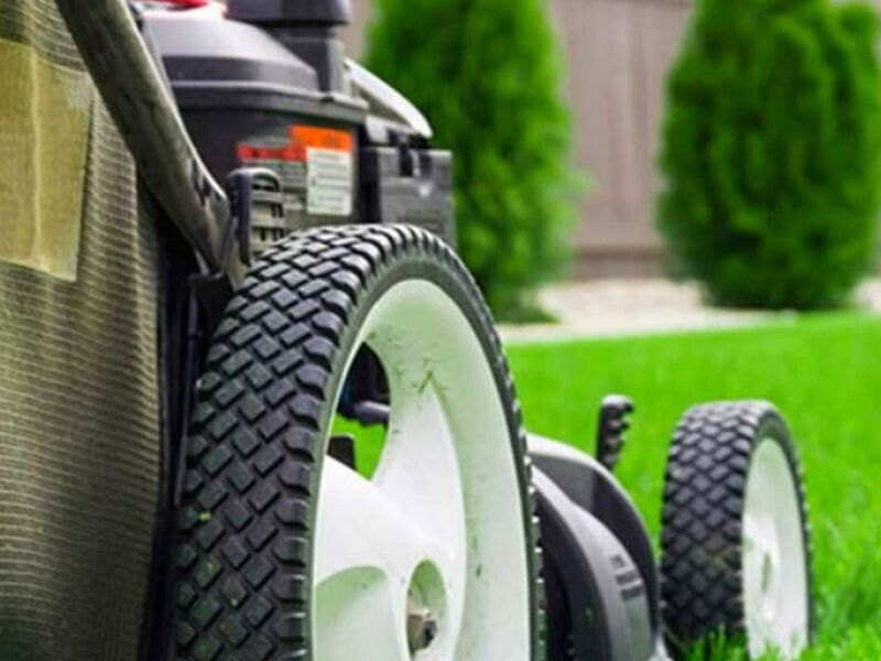 Mantenimiento Áreas Verdes Jalisco