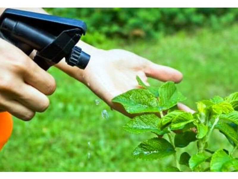 Fertilización Jardín Jalisco