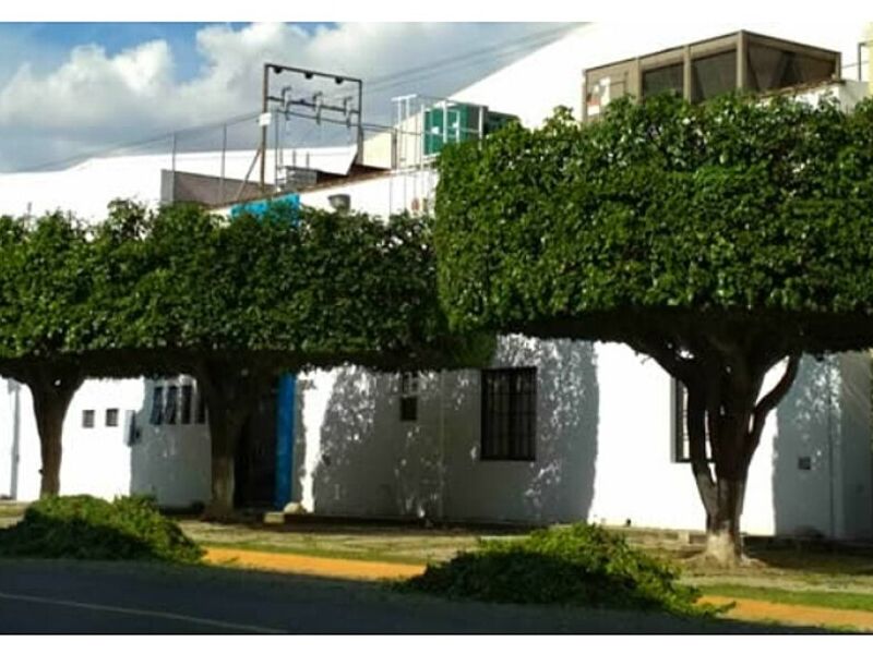 Poda Árboles Jalisco